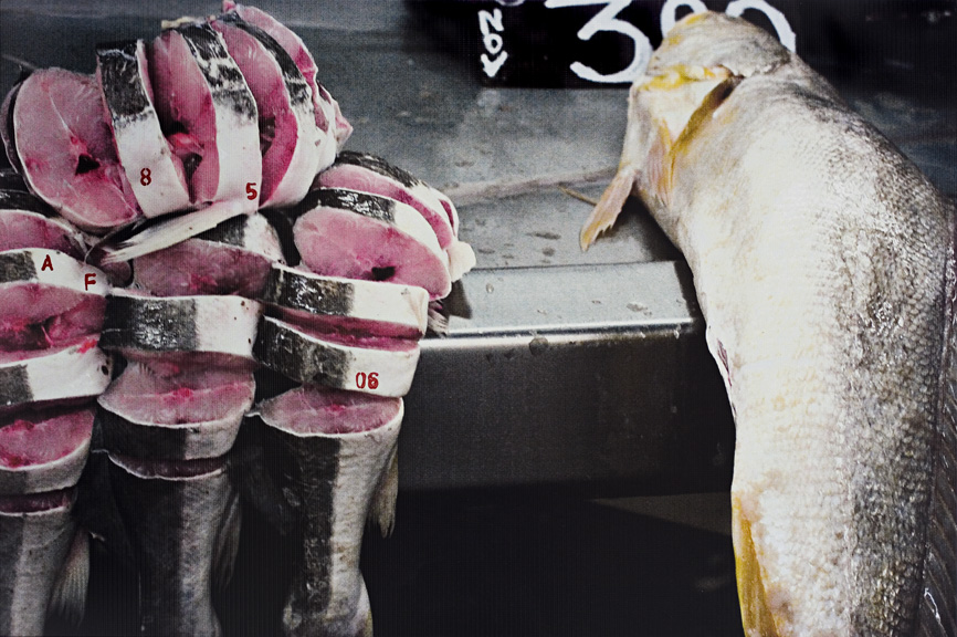 Alex Flemming - Sem Titulo (peixes Mercado Ver O Peso 85)